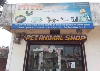 Leela-pet-shop-Pet-stores-Korba-Chhattisgarh-1