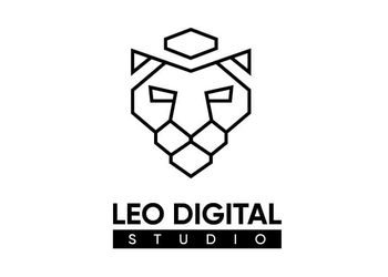 Leo-digital-studio-Digital-marketing-agency-Rohtak-Haryana-1