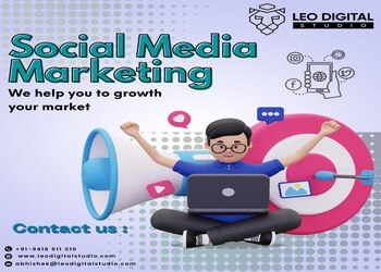 Leo-digital-studio-Digital-marketing-agency-Rohtak-Haryana-2