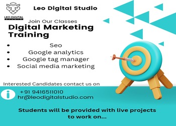 Leo-digital-studio-Digital-marketing-agency-Rohtak-Haryana-3
