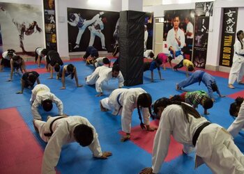 Leo-martial-arts-academy-Martial-arts-school-Udaipur-Rajasthan-2