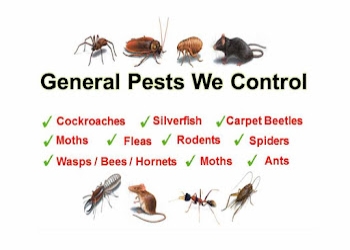 Life-home-pest-control-Pest-control-services-Mayur-vihar-delhi-Delhi-1