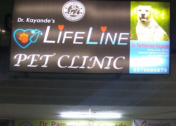 Lifeline-pet-clinic-Veterinary-hospitals-Nagpur-Maharashtra-1
