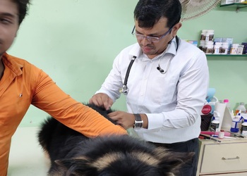 Lifeline-pet-clinic-Veterinary-hospitals-Nagpur-Maharashtra-2