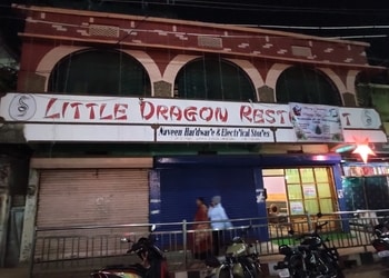 Little-dragon-restaurant-Family-restaurants-Diphu-Assam