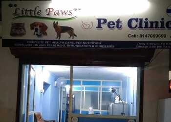Little-paws-pet-clinic-Veterinary-hospitals-Hubballi-dharwad-Karnataka-1