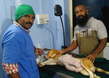 Little-paws-pet-clinic-Veterinary-hospitals-Hubballi-dharwad-Karnataka-2