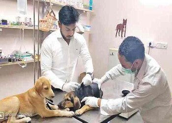 Little-paws-vet-clinic-Veterinary-hospitals-New-delhi-Delhi-2
