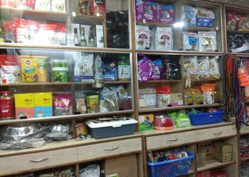 Louzy-mouzy-pet-store-Pet-stores-Jabalpur-Madhya-pradesh-1