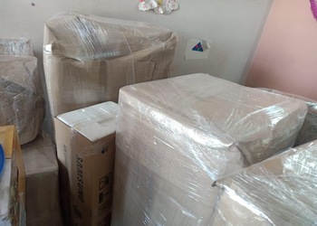 Lynx-relocation-packers-and-movers-Packers-and-movers-Ludhiana-Punjab-3