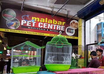 Malabar-pet-centre-Pet-stores-Kozhikode-Kerala-1