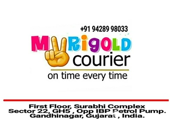 Marigold-international-courier-services-Courier-services-Gandhinagar-Gujarat-1