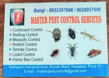 Master-pest-control-services-Pest-control-services-Camp-pune-Maharashtra-2