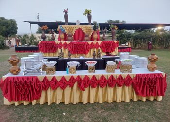 Mayank-caterers-Catering-services-Udaipur-Rajasthan-2