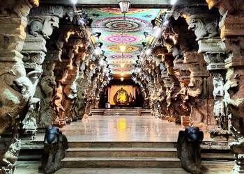 Meenakshi-amman-temple-Temples-Madurai-Tamil-nadu-3