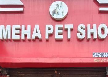 Meha-pet-shop-Pet-stores-Patna-junction-patna-Bihar-1