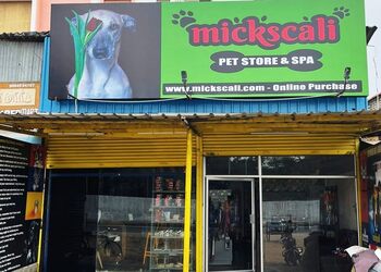 Mickscali-Pet-stores-Coimbatore-Tamil-nadu-1