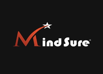 Mindsure-tax-consultancy-Tax-consultant-Fatehgunj-vadodara-Gujarat-1