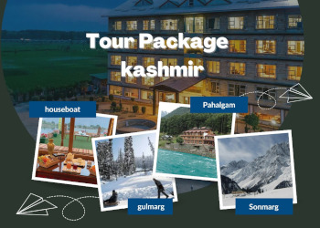 Minitrips-india-Travel-agents-Srinagar-Jammu-and-kashmir-2