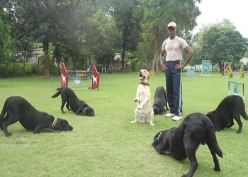 Miracle-paws-the-pets-world-Pet-stores-Rajarampuri-kolhapur-Maharashtra-3