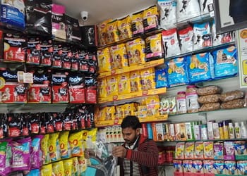 Mishra-pet-shop-Pet-stores-Kanpur-Uttar-pradesh-3