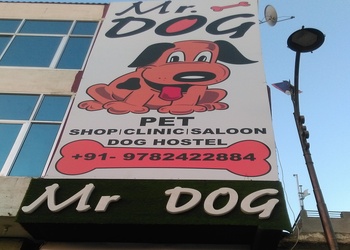 Mister-dog-pet-shop-Pet-stores-Adarsh-nagar-jaipur-Rajasthan-1