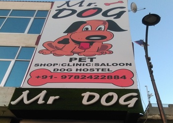 Mister-dog-pet-shop-Pet-stores-Civil-lines-jaipur-Rajasthan-1