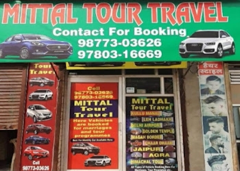 Mittal-tour-travel-Travel-agents-Bathinda-Punjab-1