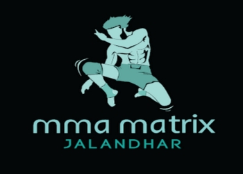 Mma-matrix-gym-jalandhar-Gym-Model-town-jalandhar-Punjab-1