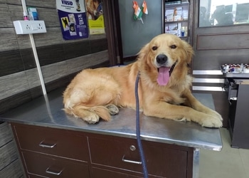 Modern-pet-clinic-Veterinary-hospitals-Ghaziabad-Uttar-pradesh-3