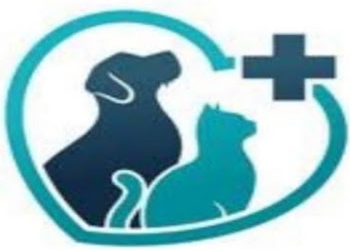 Monika-pet-clinic-and-pet-parlour-Veterinary-hospitals-Chandigarh-Chandigarh-1