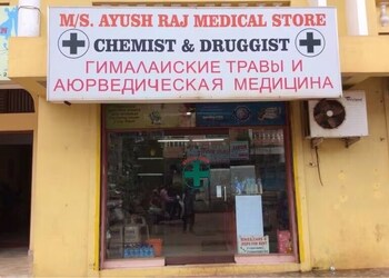 Ms-ayushraj-medical-store-Medical-shop-Goa-Goa-1