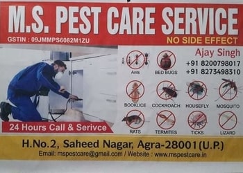 Ms-pest-care-services-Pest-control-services-Agra-Uttar-pradesh-1