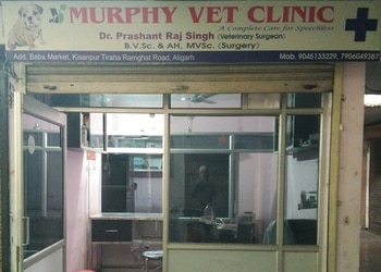 Murphy-vet-clinic-Veterinary-hospitals-Aligarh-Uttar-pradesh-1