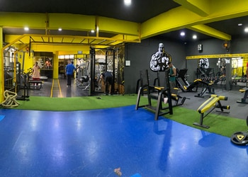 Muscle-factory-Gym-Vidyanagar-hubballi-dharwad-Karnataka-3