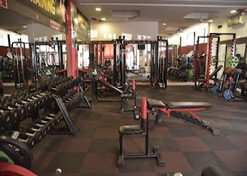 Muscle-mania-Gym-Pimpri-chinchwad-Maharashtra-2