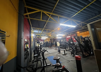 Muscle-paradise-a-unisex-gym-Gym-George-town-allahabad-prayagraj-Uttar-pradesh-2