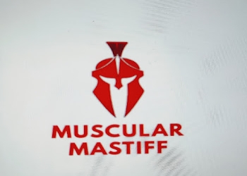 Muscular-mastiff-unisex-gym-Gym-Warje-pune-Maharashtra-1