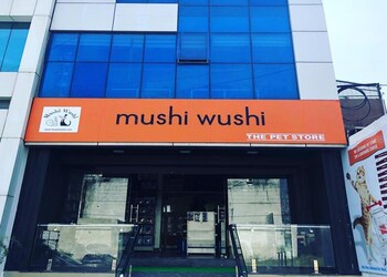 Mushiwushi-pet-store-Pet-stores-Bhanwarkuan-indore-Madhya-pradesh-1