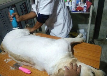 My-pet-clinic-grooming-Veterinary-hospitals-Indore-Madhya-pradesh-2