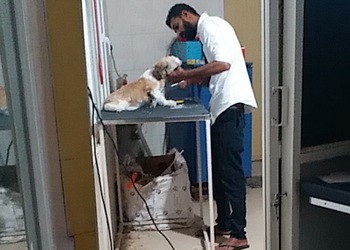 My-pet-clinic-Veterinary-hospitals-Mysore-Karnataka-2