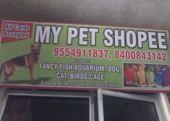 My-pet-shopee-Pet-stores-Kanpur-Uttar-pradesh-1
