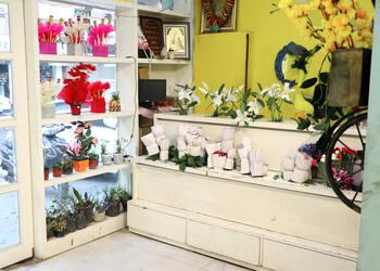 Myflowertree-Flower-shops-New-delhi-Delhi-2