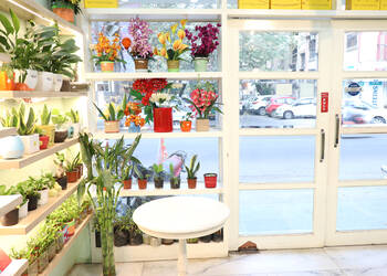 Myflowertree-Flower-shops-New-delhi-Delhi-3