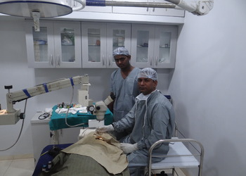 Myra-pet-clinic-surgery-centre-Veterinary-hospitals-Indore-Madhya-pradesh-2