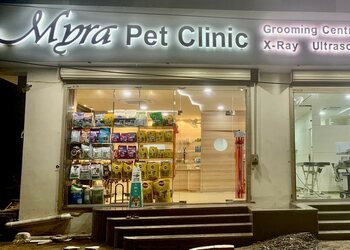 Myra-pet-clinic-surgery-centre-Veterinary-hospitals-Rajendra-nagar-indore-Madhya-pradesh-1