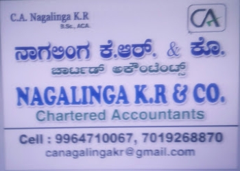 Nagalinga-k-r-co-Tax-consultant-Bellary-cantonment-bellary-Karnataka-2