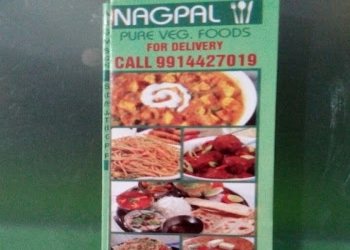 Nagpal-pure-veg-foods-Pure-vegetarian-restaurants-Sector-17-chandigarh-Chandigarh-1