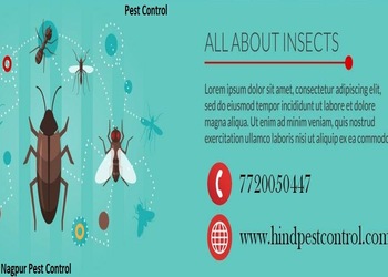 Nagpur-pest-control-Pest-control-services-Pratap-nagar-nagpur-Maharashtra-1