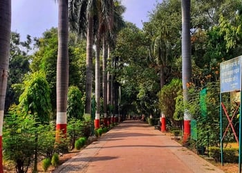 Naqvi-park-Public-parks-Aligarh-Uttar-pradesh-2